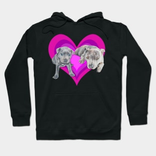 Gorgeous Staffy pups on an eyecatching rainbow heart! Hoodie